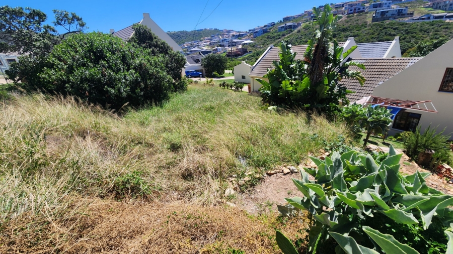 Commercial Property for Sale in Vakansieplaas Western Cape